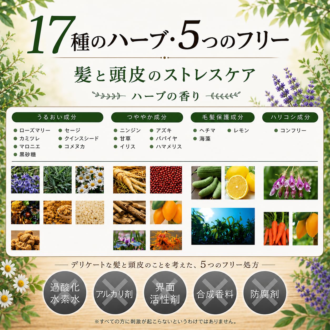 Amazon | 【サロン使用品×約6ヶ月分】白髪染め 医薬部外品 ハーバル